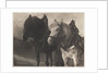 Horses by Alfred Stieglitz