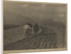 Ploughing - The  Tirol by Alfred Stieglitz