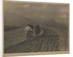 Ploughing - The  Tirol by Alfred Stieglitz