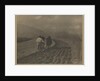 Ploughing - The  Tirol by Alfred Stieglitz