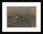 Ploughing - The  Tirol by Alfred Stieglitz