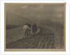 Ploughing - The  Tirol by Alfred Stieglitz