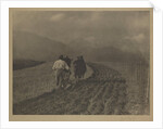 Ploughing - The  Tirol by Alfred Stieglitz