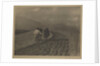 Ploughing - The  Tirol by Alfred Stieglitz