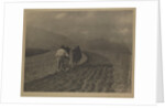 Ploughing - The  Tirol by Alfred Stieglitz