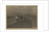 Ploughing - The  Tirol by Alfred Stieglitz