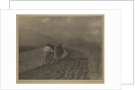 Ploughing - The  Tirol by Alfred Stieglitz