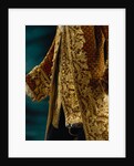 Dress coat and waistcoat, detail. Italy, 18th century by Anonymous