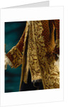 Dress coat and waistcoat, detail. Italy, 18th century by Anonymous