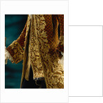 Dress coat and waistcoat, detail. Italy, 18th century by Anonymous