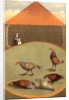 Cockfighting by Anonymous