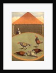Cockfighting by Anonymous