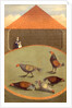 Cockfighting by Anonymous