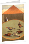 Cockfighting by Anonymous