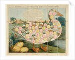 Laurie's New and Entertaining Game of the Golden Goose board game by Unknown
