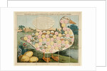 Laurie's New and Entertaining Game of the Golden Goose board game by Unknown