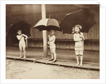 An Air Bath in the Rain by Andrew Pitcairn-Knowles