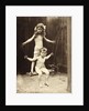 An Air Bath Swing by Andrew Pitcairn-Knowles