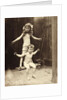 An Air Bath Swing by Andrew Pitcairn-Knowles