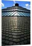 Roofscape of the V&A Museum by Anonymous
