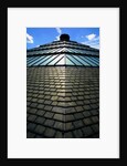 Roofscape of the V&A Museum by Anonymous