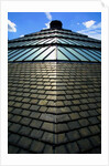 Roofscape of the V&A Museum by Anonymous