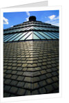 Roofscape of the V&A Museum by Anonymous