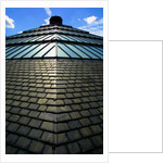 Roofscape of the V&A Museum by Anonymous