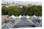 Roofscape of the V&A Museum by Anonymous