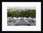 Roofscape of the V&A Museum by Anonymous
