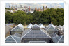 Roofscape of the V&A Museum by Anonymous