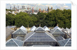Roofscape of the V&A Museum by Anonymous