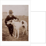 A Handsome Competitor by Andrew Pitcairn-Knowles