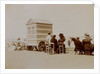 Sitting beside the Beach Huts by Andrew Pitcairn-Knowles