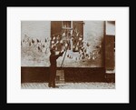 Fish Drying by Andrew Pitcairn-Knowles