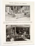 Porches, Pergolas and Terraces by unknown