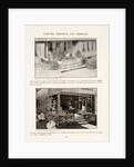Porches, Pergolas and Terraces by unknown