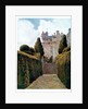 The Yew Alley, Crathes by George Samuel Elgood