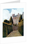 The Yew Alley, Crathes by George Samuel Elgood