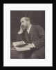 Reverend H.D. Rawnsley, Canon of Carlisle by Frederick Hollyer
