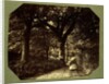 Isabella Grace Walking in The Woods by Clementina Hawarden
