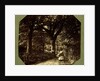 Isabella Grace Walking in The Woods by Clementina Hawarden