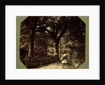 Isabella Grace Walking in The Woods by Clementina Hawarden