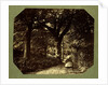 Isabella Grace Walking in The Woods by Clementina Hawarden