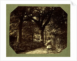 Isabella Grace Walking in The Woods by Clementina Hawarden