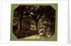 Isabella Grace Walking in The Woods by Clementina Hawarden