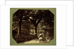 Isabella Grace Walking in The Woods by Clementina Hawarden