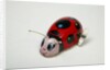 Clockwork ladybird by Unknown