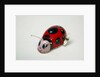 Clockwork ladybird by Unknown