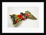 Clockwork butterfly by Unknown